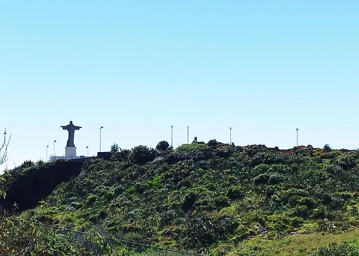 Mcstylo-ocean View * カニコ